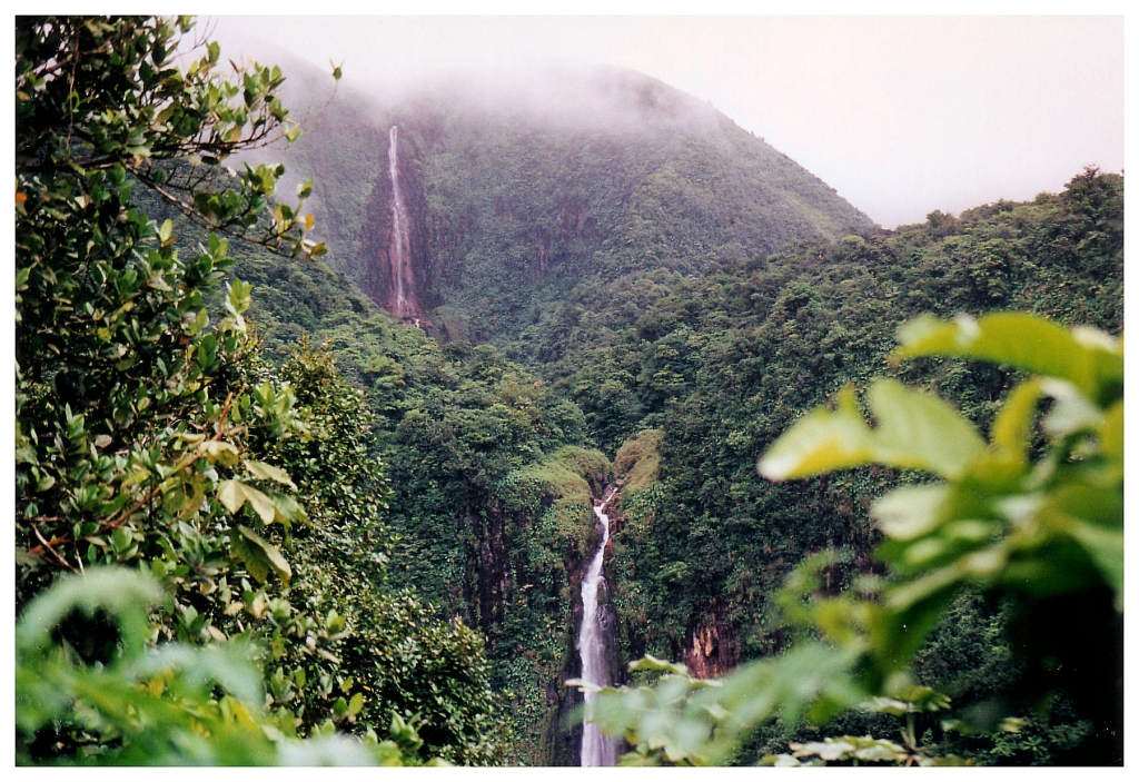 06 - Chutes du Carbet (0).jpg